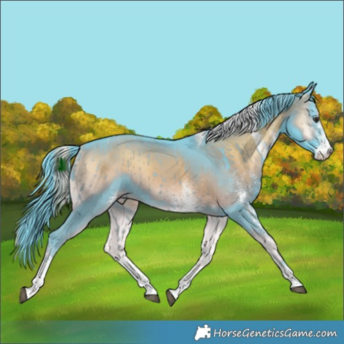 Horse Color:Watercolor White Spotted Liver Red Onyx Tobiano 