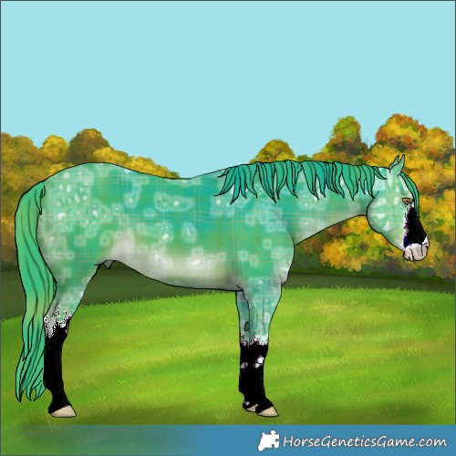 Horse Color:Watercolor Plaid White Spotted Liver Chestnut Ice
