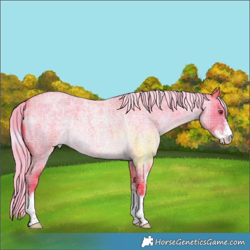 Horse Color:Watercolor Plaid  Chocolate Palomino Roan Sabino 