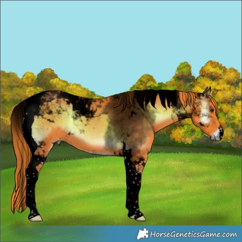 Horse Color:Void Watercolor White Spotted Liver Red Onyx Tobiano 