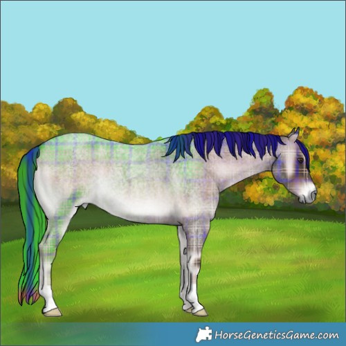 Horse Color:Plaid  Liver Red Onyx Roan 