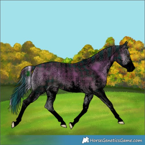 Horse Color:Void Plaid  White Spotted Liver Red Onyx Ice 