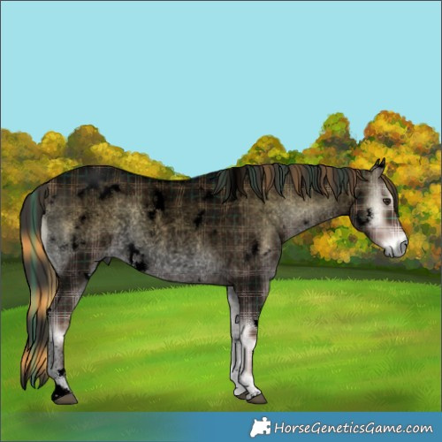 Horse Color:Void Plaid  White Spotted Liver Red Onyx Roan Rabicano 