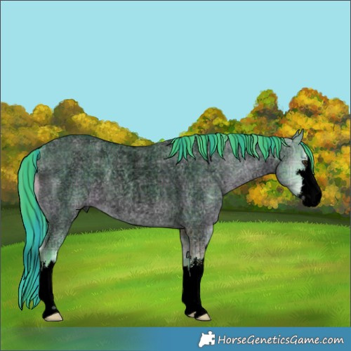 Horse Color:Void Watercolor Plaid  White Spotted Liver Red Dun Ice Roan 