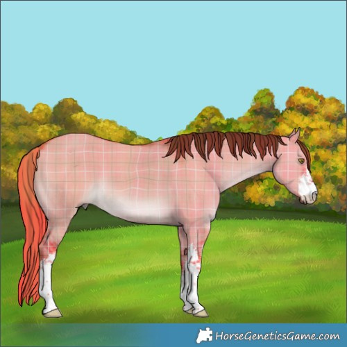 Horse Color:Watercolor Plaid  White Spotted Liver Red Dun 