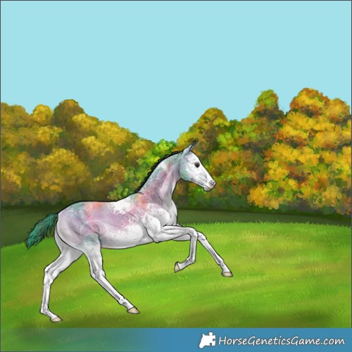 Horse Color:Watercolor Plaid  White Spotted Liver Red Onyx Ice 