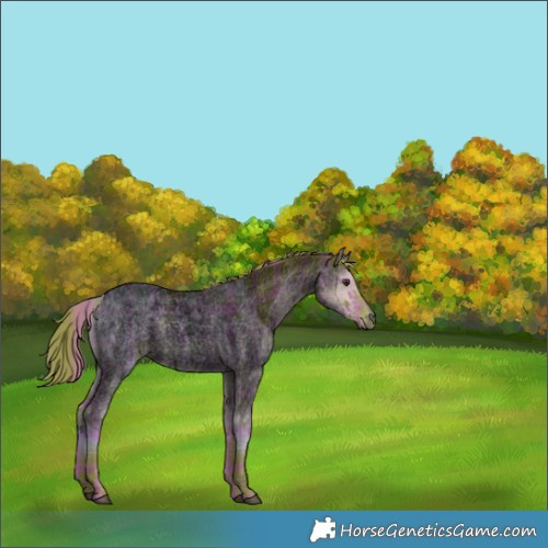 Horse Color:Void Watercolor Plaid  White Spotted Liver Red Dun Roan Brindle 