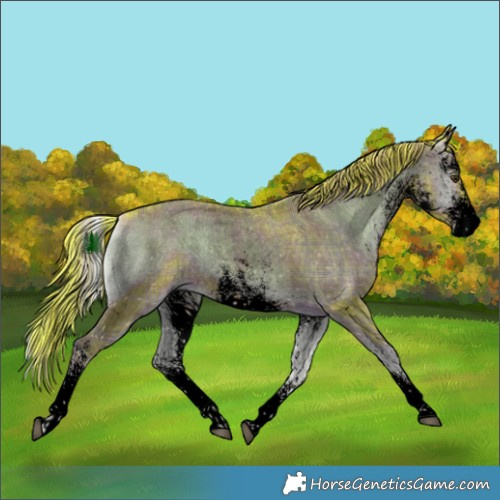 Horse Color:Void Watercolor Plaid  White Spotted Liver Red Onyx Brindle 