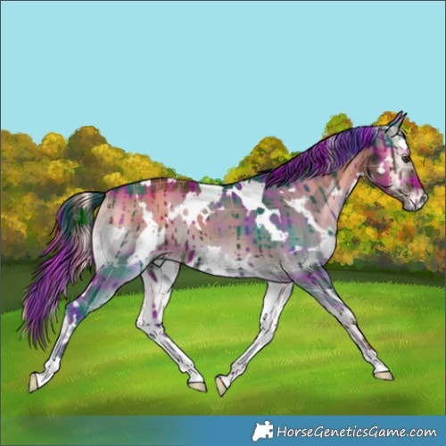 Horse Color:Plaid  White Spotted Liver Red Dun Onyx Brindle 