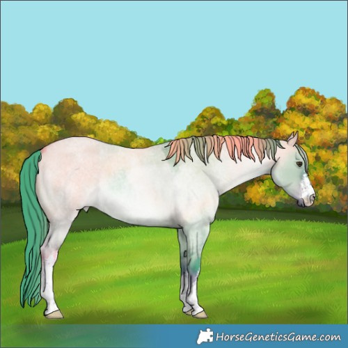 Horse Color:Watercolor White Spotted Liver Red Dun Roan 