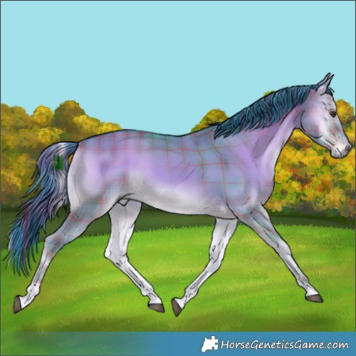 Horse Color:Watercolor Plaid  Liver Red Dun Onyx Rabicano 