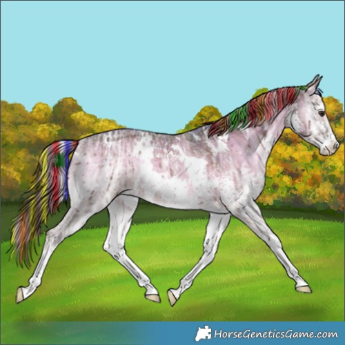 Horse Color:Painted Plaid  White Spotted Liver Red Dun Ice Onyx Sabino Rabicano Brindle 
