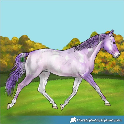 Horse Color:Watercolor White Spotted Liver Red Dun Onyx Rabicano Brindle 