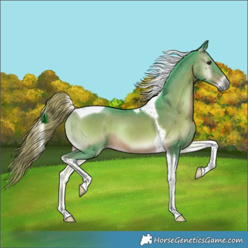Horse Color:Watercolor Liver Red Onyx Tobiano Rabicano 