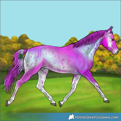 Horse Color:Watercolor Liver Red Onyx Sabino Rabicano 