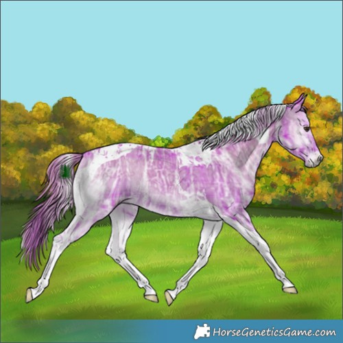 Horse Color:Watercolor Plaid  Liver Red Onyx Ice Tobiano 