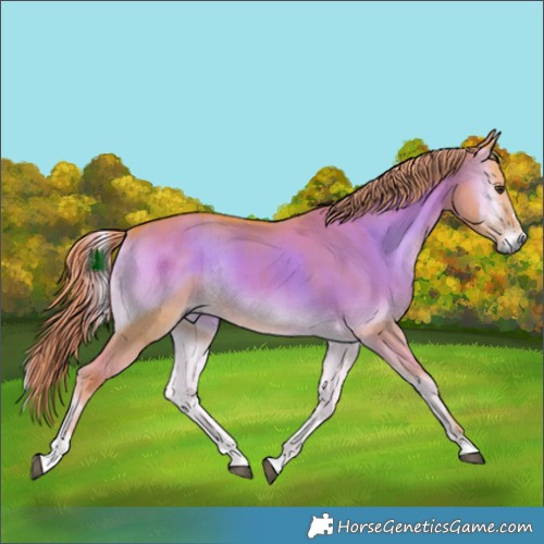 Horse Color:Watercolor Liver Red Dun Onyx Rabicano Brindle 