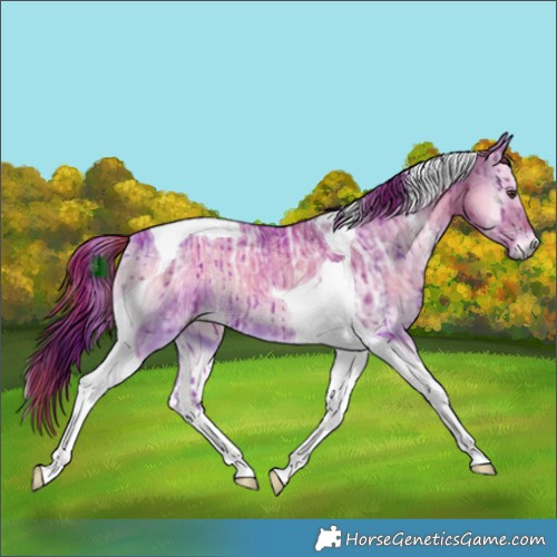 Horse Color:Watercolor Plaid  Liver Red Dun Ice Onyx Tobiano Brindle 