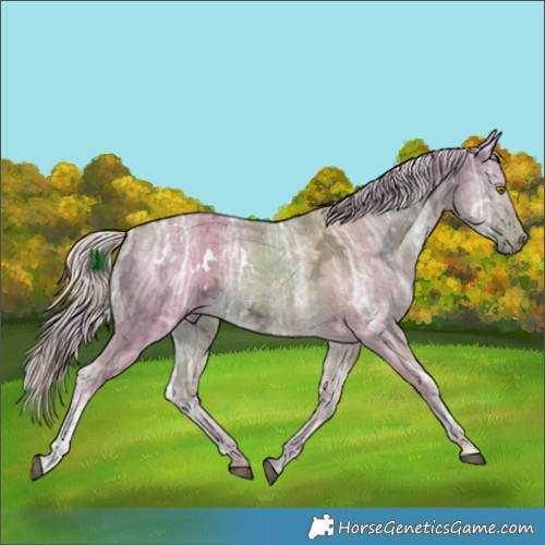 Horse Color:Watercolor Plaid  White Spotted Chocolate Palomino Ice Dun 