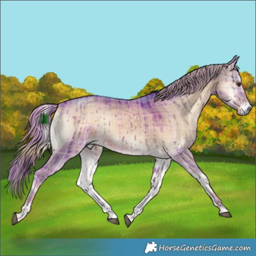 Horse Color:Watercolor Plaid  Liver Red Dun Onyx Rabicano Brindle 