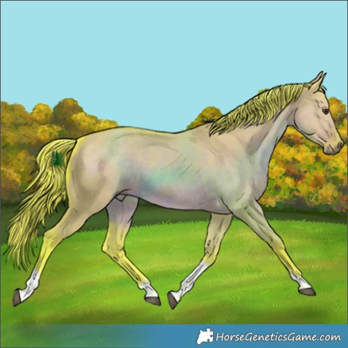Horse Color:Watercolor Liver Red Dun Tobiano Rabicano 