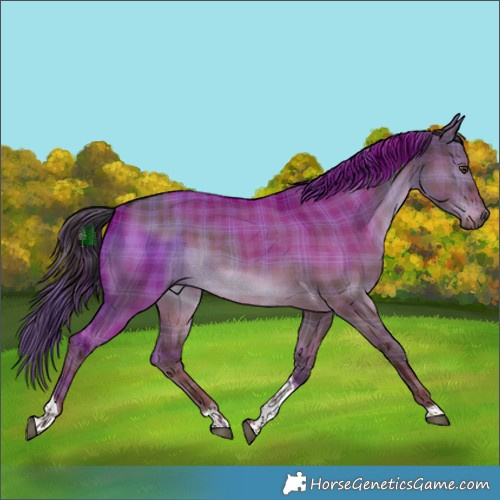Horse Color:Plaid  Liver Red Dun Tobiano 