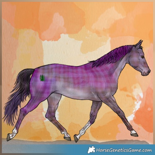 Horse Color:Plaid  Liver Red Dun Tobiano 