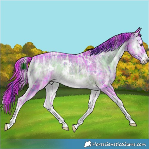 Horse Color:Watercolor Plaid  White Spotted Liver Red Onyx Ice 