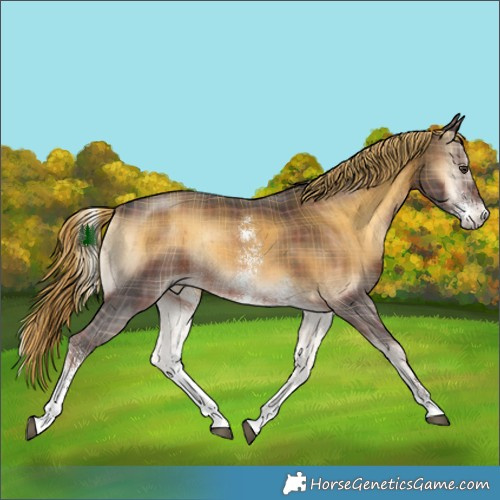 Horse Color:Plaid  Liver Red Onyx Sabino Rabicano Brindle 