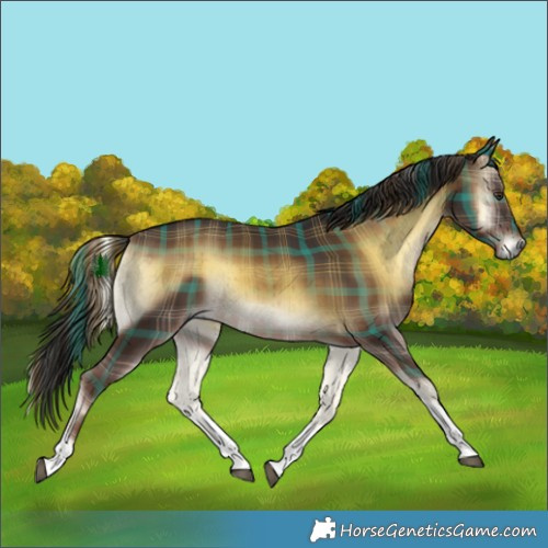 Horse Color:Plaid  Liver Red Onyx Tobiano Brindle 