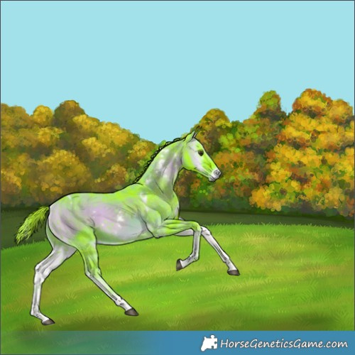 Horse Color:Watercolor Plaid  White Spotted Liver Red Onyx Rabicano 