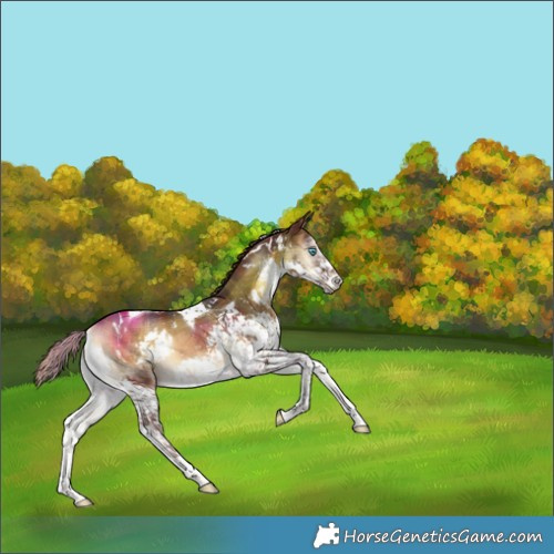 Horse Color:Plaid  White Spotted Liver Red Onyx Splash Tobiano Brindle 