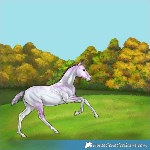 Horse Color:Watercolor Plaid  White Spotted Liver Red Dun Onyx Tobiano Rabicano 