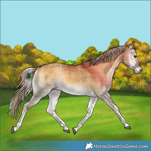 Horse Color:Plaid Chocolate Palomino Onyx Tobiano Rabicano Brindle