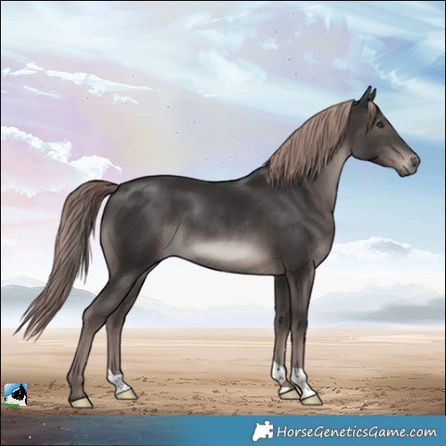 Horse Color:Platinum Liver Chestnut 