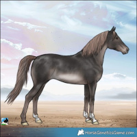 Horse Color:Platinum Liver Chestnut