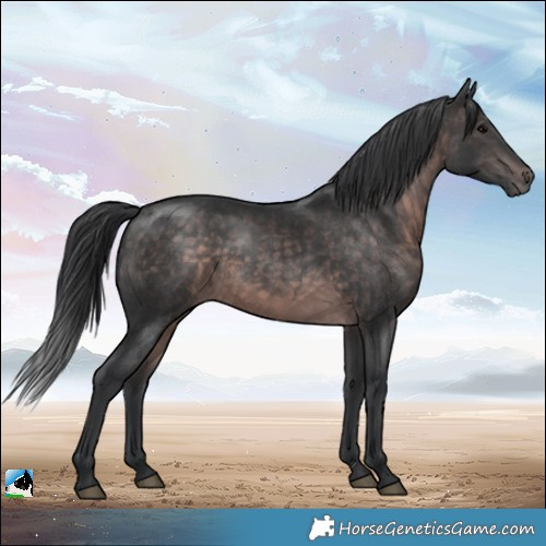 Horse Color:Platinum Brown Rabicano