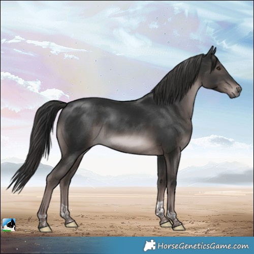 Horse Color:Platinum Liver Chestnut Tobiano Rabicano