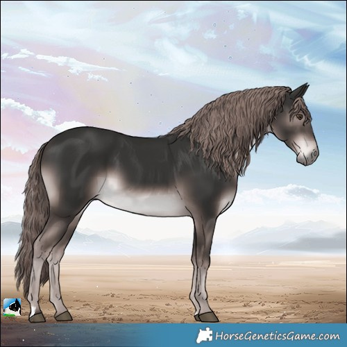 Horse Color:Platinum Liver Chestnut 