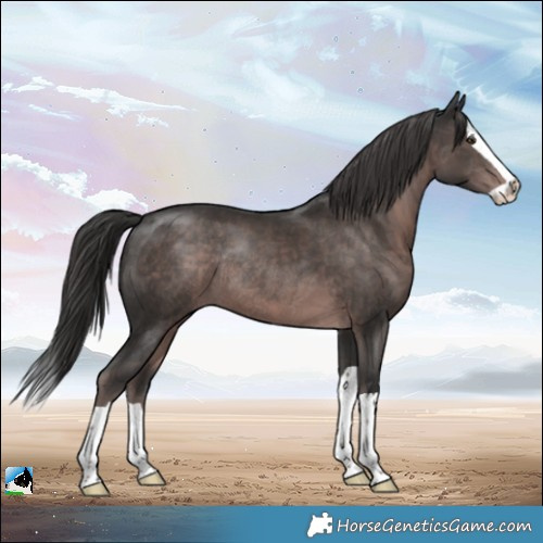Horse Color:Platinum Liver Chestnut Splash Rabicano