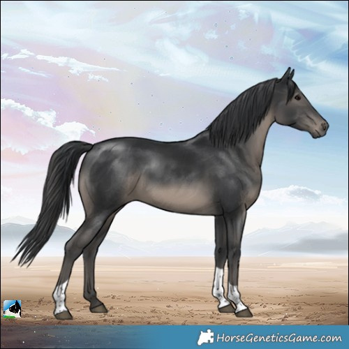 Horse Color:Platinum Black Tobiano 