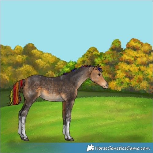 Horse Color:Unknown 