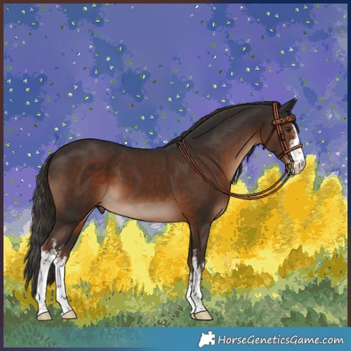 Horse Color:White Spotted Liver Chestnut