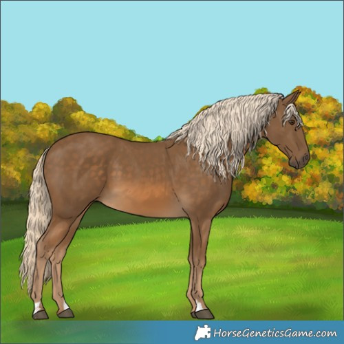 Horse Color:Chocolate Palomino