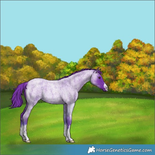 Horse Color:Watercolor White Spotted Liver Red Roan 