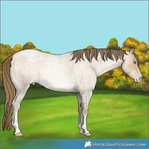 Horse Color:Brown Roan Snowdrop Pearl 