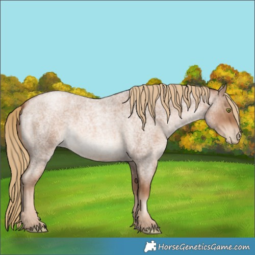 Horse Color:Liver Red Roan Pearl 