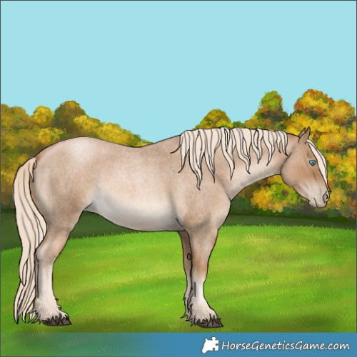 Horse Color:Chocolate Palomino Roan Pearl 