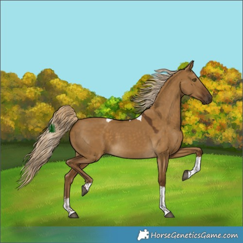 Horse Color:Chocolate Palomino Dun Tobiano