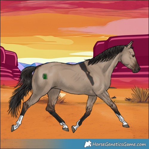 Horse Color:Liver Red Dun Tobiano 